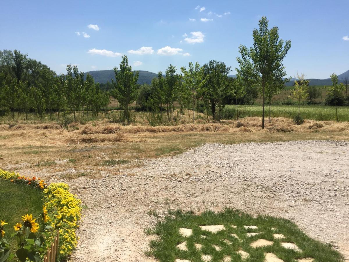 Il Girasole B&B Ceprano Bagian luar foto
