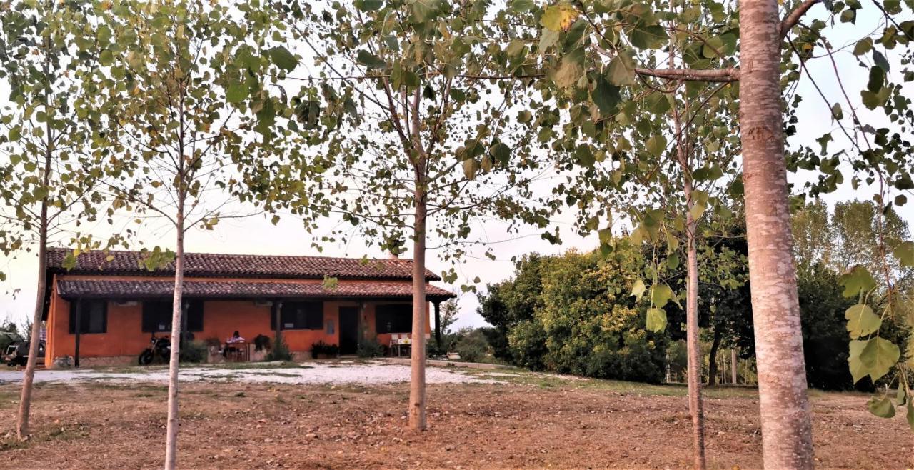 Il Girasole B&B Ceprano Bagian luar foto